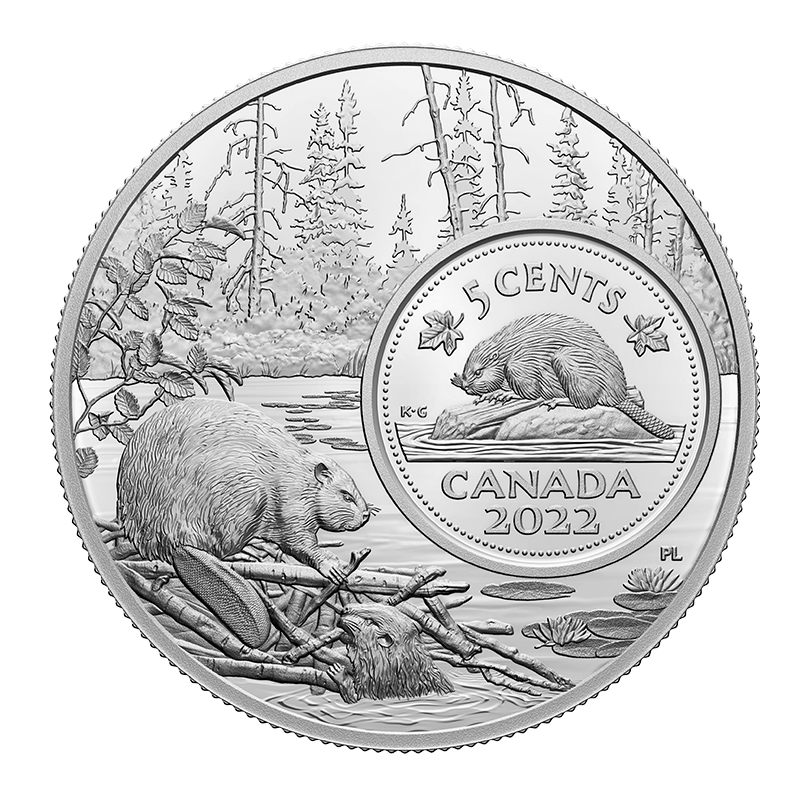 Image for 5 oz Silver Coin The Bigger Picture: Beaver from TD Precious Metals